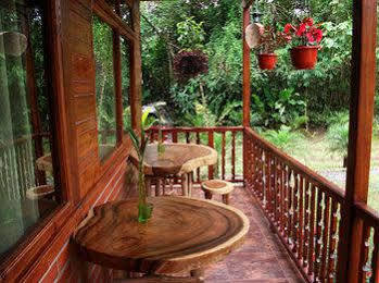 Mindo Green House Ngoại thất bức ảnh